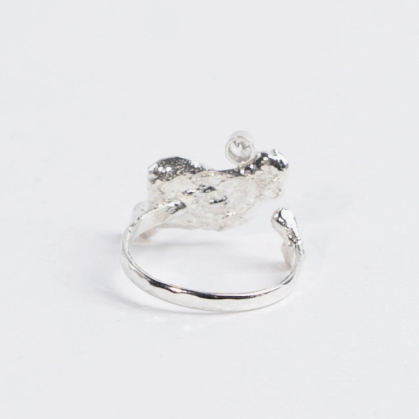 Aqua no. 2 - Ring catz
