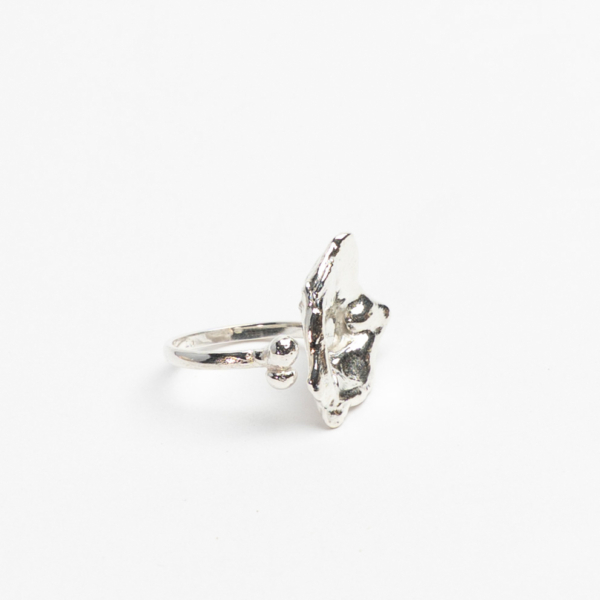 Aqua Ring - no. 4 catz