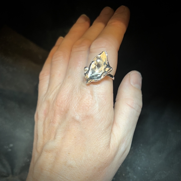Aqua Ring - no. 4 catz