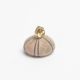 Aqua Single Earstud - no. 6 catz
