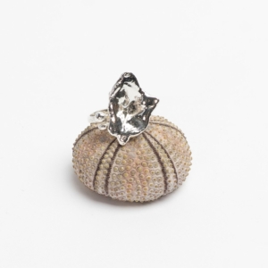 Aqua Ring - no. 4 catz