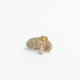 Aqua Single Earstud - no. 7 catz